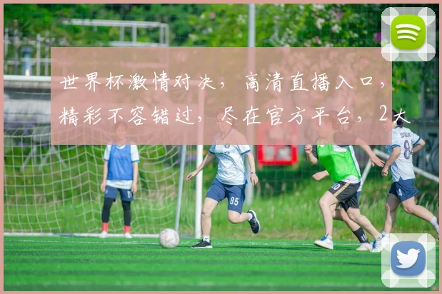 世界杯激情对决，高清直播入口，精彩不容错过，尽在官方平台，2大球场同步观看
