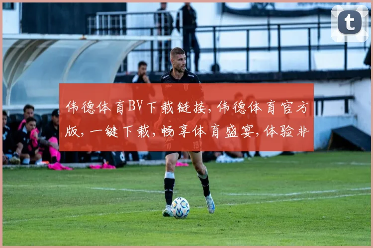 伟德体育BV下载链接,伟德体育官方版,一键下载,畅享体育盛宴,体验非凡