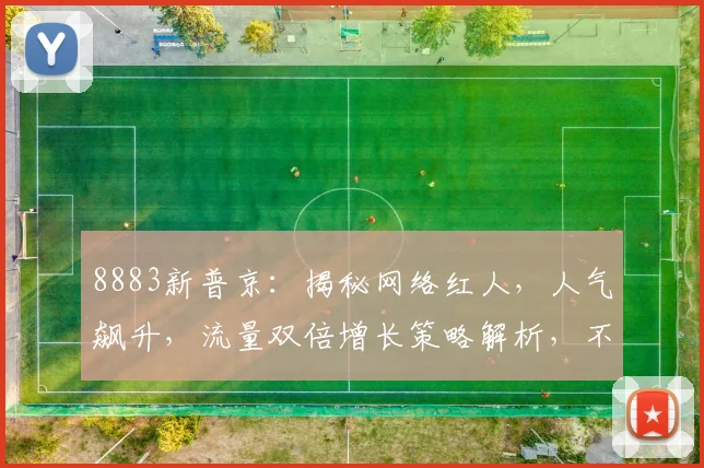 8883新普京：揭秘网络红人，人气飙升，流量双倍增长策略解析，不容错过