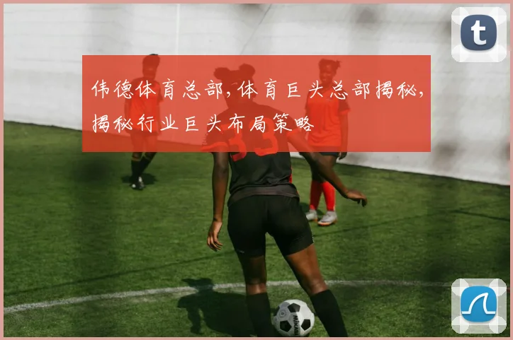 伟德体育总部,体育巨头总部揭秘,揭秘行业巨头布局策略